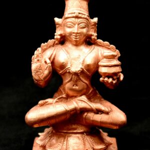 Lord Dhanvantri Idols