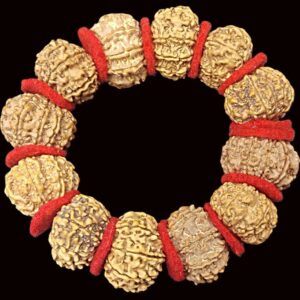 9 Mukhi Rudraksha Bracelet - Durga Shakti Bracelet - Nepal