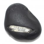 Adwaitya Shweta Jagannath Shaligram