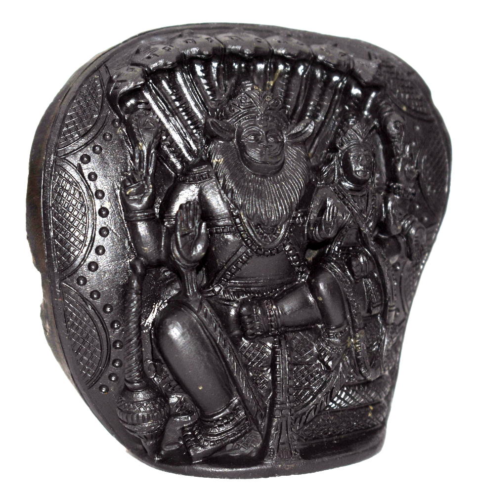 Laxmi Narsimha Idol On Golden Sudarshan shaligram – Rudraksh Guru