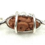 1 Mukhi Rudraksha