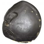Rare Big Size Kalpavriksha Laxmi Ganesha Golden Panchtatva Janeudhari Vaman MahaVishnu Shankha Shweta Radha Krishna Shaligram - 9 Kg