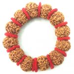 6 Mukhi Rudraksha Bracelet