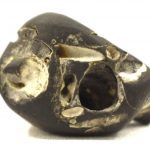 Vitthal Shaligram / Panduranga Shaligram 