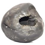 Rare Big Size Varaha Shaligram