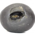 Shimshumara Shaligram