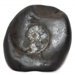 Vaikuntha Shaligram