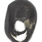 Nityananda Balaram Shaligram