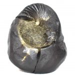 Adwaitya Shesha Ananta Golden Laxmi MahaVishnu Sudarshan Shaligram