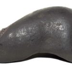 Matsya Shaligram