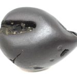 Shimshumara Shaligram