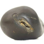 Matsya Shaligram