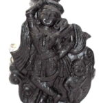 Mohini Idol On Natural Golden Sudarshan Shaligram