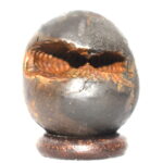 Jagadyoni shaligram
