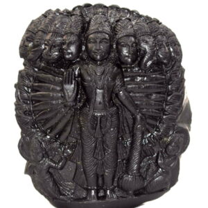 VishvaRupa Murti Carved On Natural Golden Shaligram