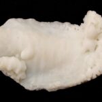 Shukra Mani - 24.28 carats 