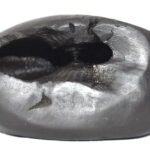 Laxmi Narsimha Shaligram