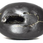 Sanatana Krishna Shaligram