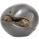SankarShana Shaligram