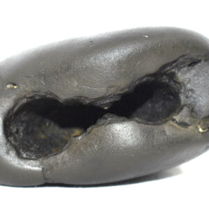 Laxmi Narsimha Shaligram