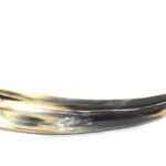 GauMukhi Shirangi For Abhishek