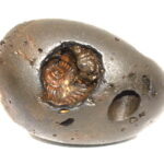 Madhusudhan Shaligram