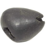 Buddha Shaligram