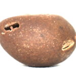 Sirapani Shaligram