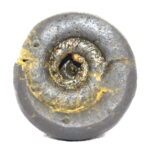 Vaikuntha Shaligram