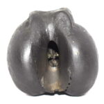 Adwaitya Golden Bhur Bhavas Gayatri Vaikuntha Shaligram