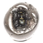 Adwaitya Golden Kamala Dasha MahaVidya Shaligram