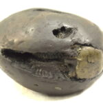 Laxmi Narsimha Shaligram