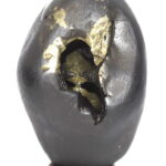 Sacred Adwaitya Golden Maa SkandaMata Navdurga Shaligram