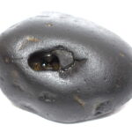 Canura Mardana Shaligram