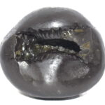 GarudaDadhvaja Shaligram