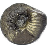 Adwaitya Golden Surya Kalpavriksha Laxmi Kuber Shaligram