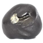 Shesha Shaligram