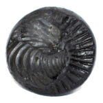 Maha Vishnu Sudarshan Shaligram