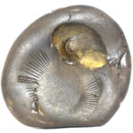 Laxmi Sudarshan Shaligram