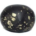 HiranyaGrabha Shaligram