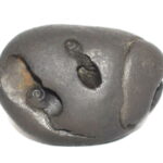 VanaRama Shaligram