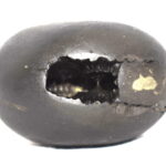 Gopala Rama / KalinaShakaRama Shaligram