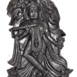 Radha Krishna Murti on Natural Sudarshan Shaligram