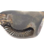 Vibhishana Narsimha shaligram