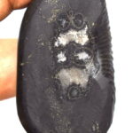 Sarvottam Netradhari Shweta Jagannath Shaligram