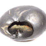 Rama Shaligram / Ekachakra Rama Salagram