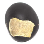 Adwaitya Yellow Jagannath Shaligram