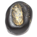 Adwaitya Tilakdhari MahaVishnu Laxmi Vanamala Shaligram