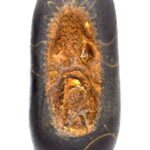 VajraKita Shaligram