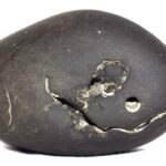 Vira Rama Shaligram